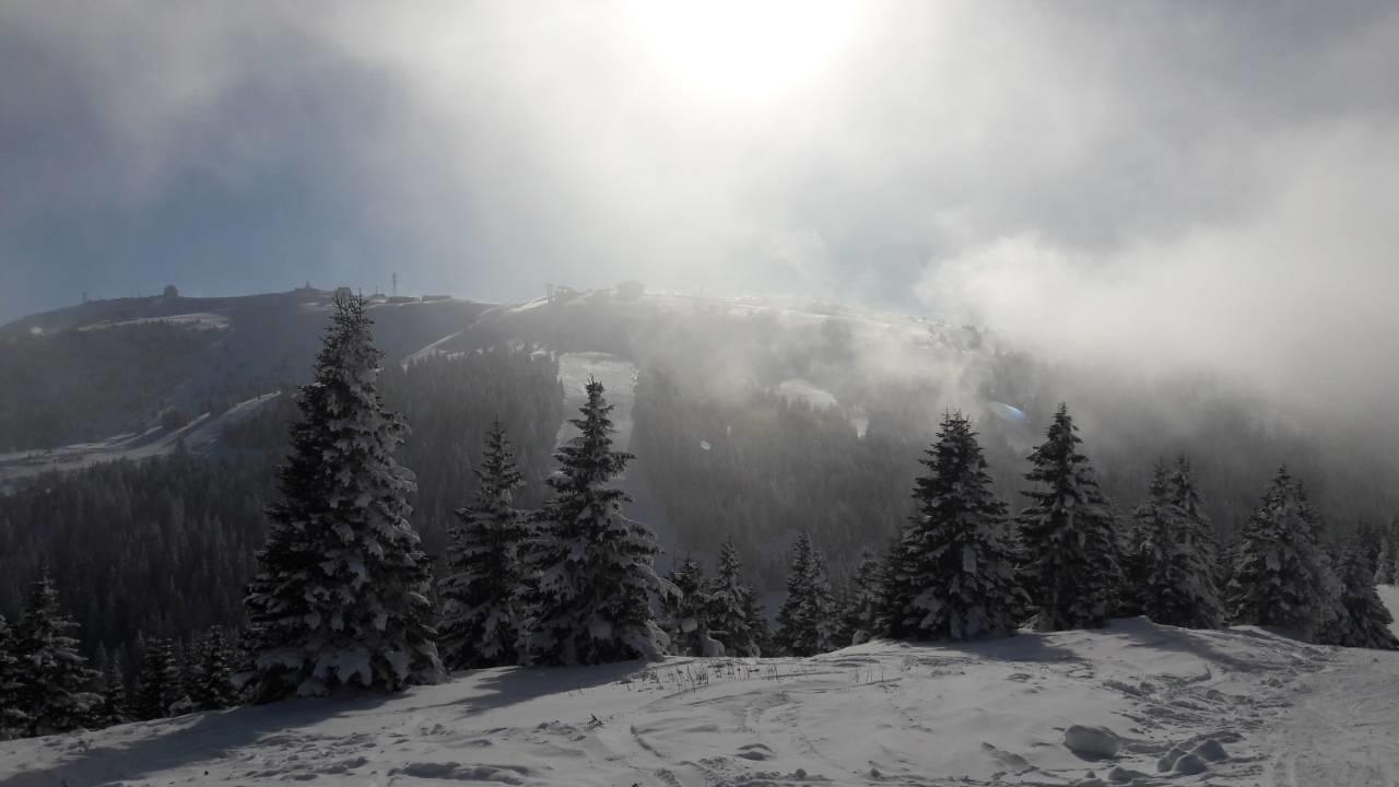 Lux Apartman B1 Milmari Kopaonik Exteriör bild